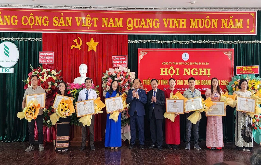  Cao su Ea H’leo: Thu nhập bình quân đạt 9 triệu đồng/người/tháng